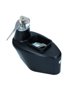 Zaštita od krađe na mjenjaču, Bug,