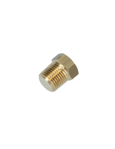 Blindstopfenadapter Kraftstoffdruckanzeige...