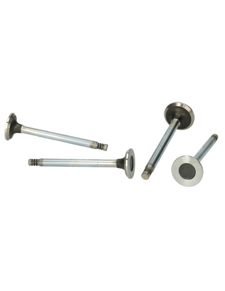 Auslassventil 33mm, 9mm Führung, Typ