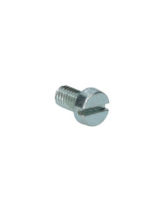 vijak z glavo utora M6 x 10 Din 84