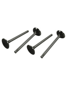 Einlassventile 13-1600ccm, Typ