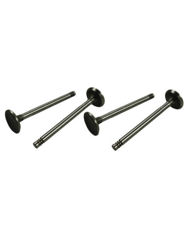 Usisni ventili 31,5 mm, vodilica 8 mm, 61-