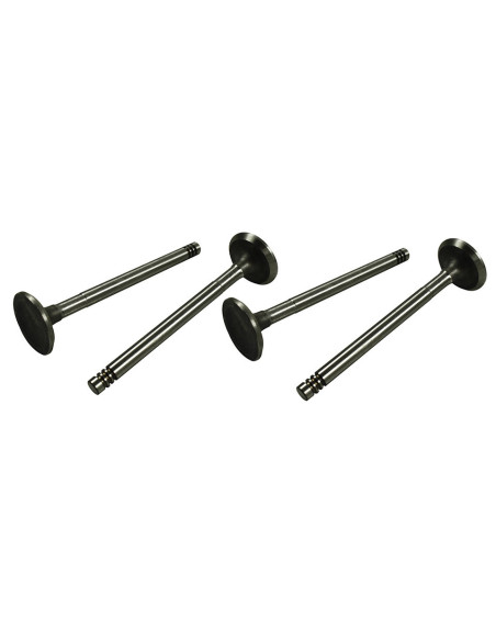 Usisni ventili 31,5 mm, vodilica 8 mm, 61-