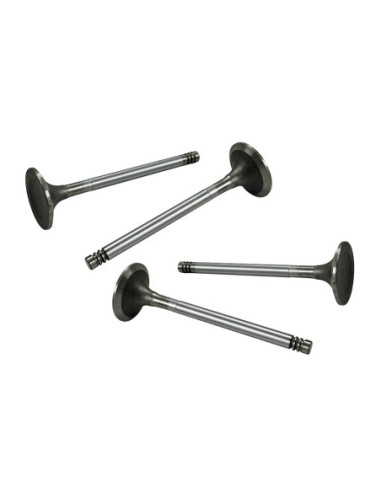 Einlassventile 37,5mm, 8mm Führung, Typ