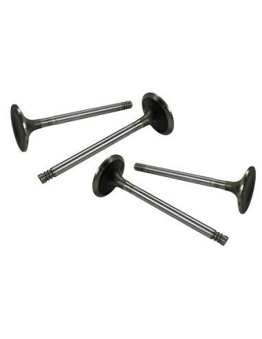 Einlassventile 41mm, 8mm Führung, Typ