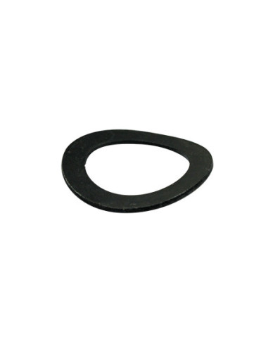 Ring für Schwungradschraube, Typ