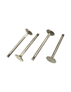 S/S ventili 32mm, tip