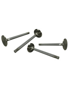 S/S ventili 35,5 mm, tip