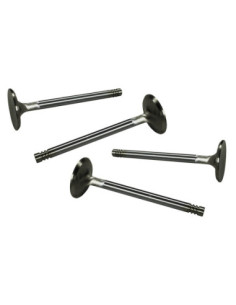 S/S ventili 37,5mm, tip