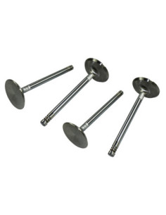 S/S ventili 42mm, tip