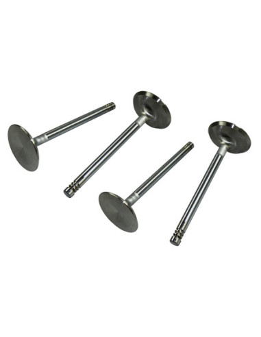 S/S ventili 42 mm, tip