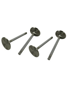 S/S ventili 44mm, tip