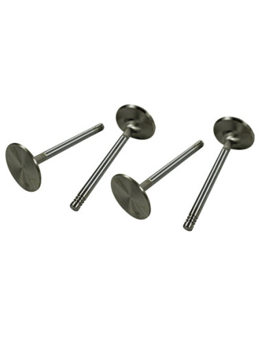 S/S ventili 44mm, tip