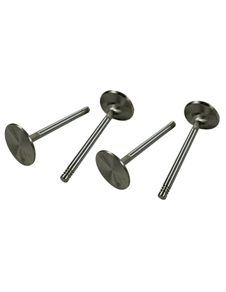 S/S ventili 44mm, tip