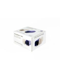  T1 solnica in popernik 2