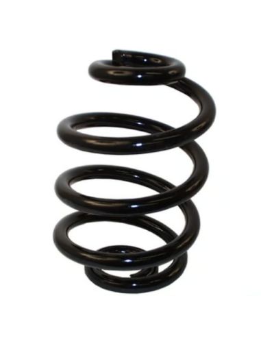 Suspension springs, standard, Transporter T3, rear 