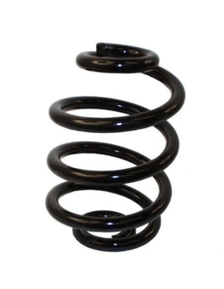 Suspension springs, standard, Transporter T3, rear 